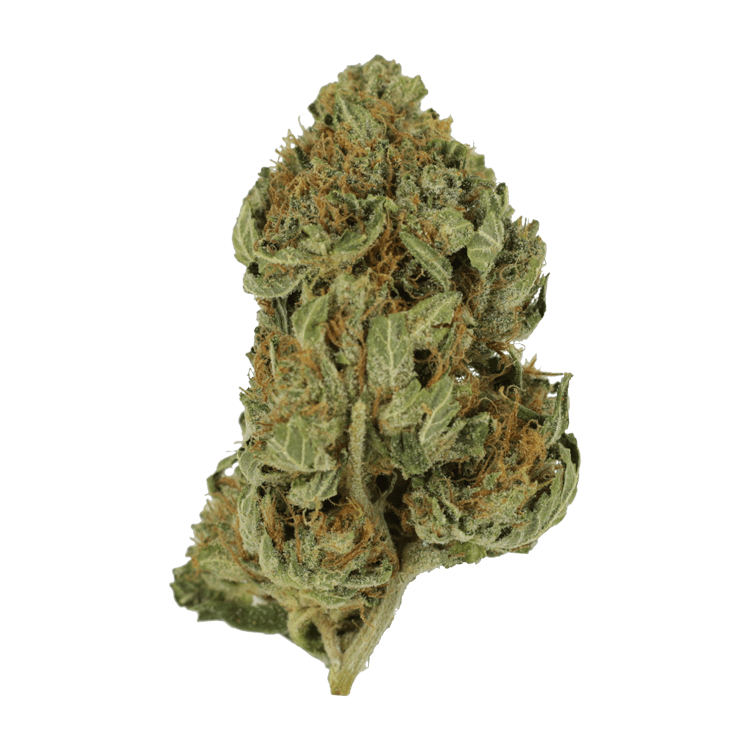 Bubblegum – 1 ounce | WeedSmart Canada Bubblegum – 1 ounce | WeedSmart Canada