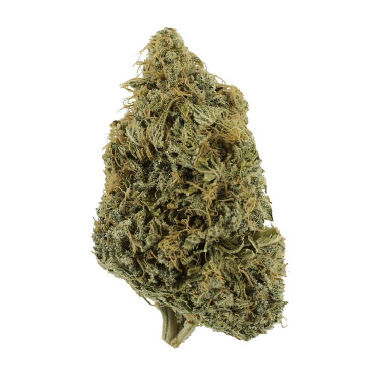 NYC Diesel | WeedSmart Canada