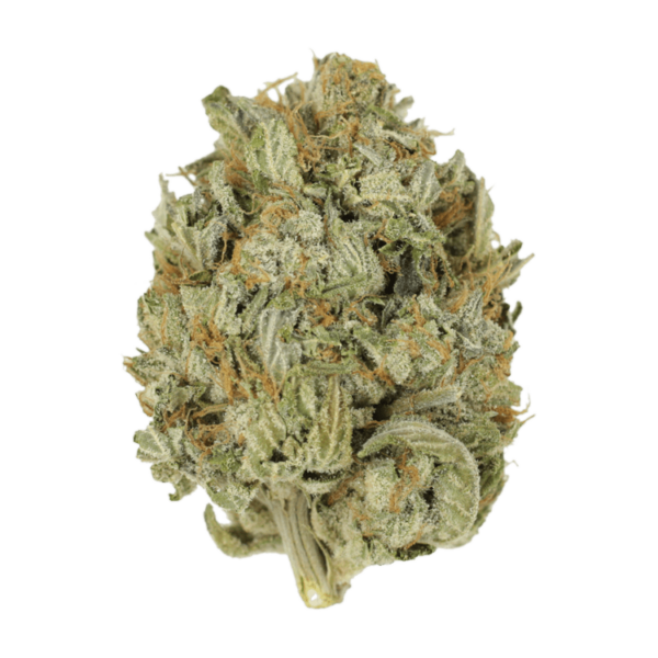 Blue Dream (Popcorn) | WeedSmart Canada Blue Dream (Popcorn) | WeedSmart Canada