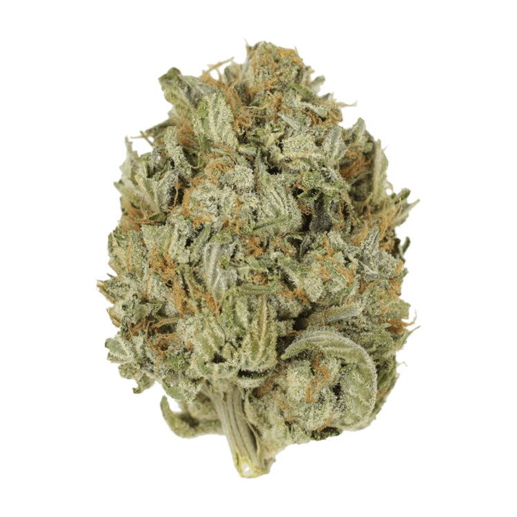 Blue Dream (Popcorn) | WeedSmart Canada Blue Dream (Popcorn) | WeedSmart Canada