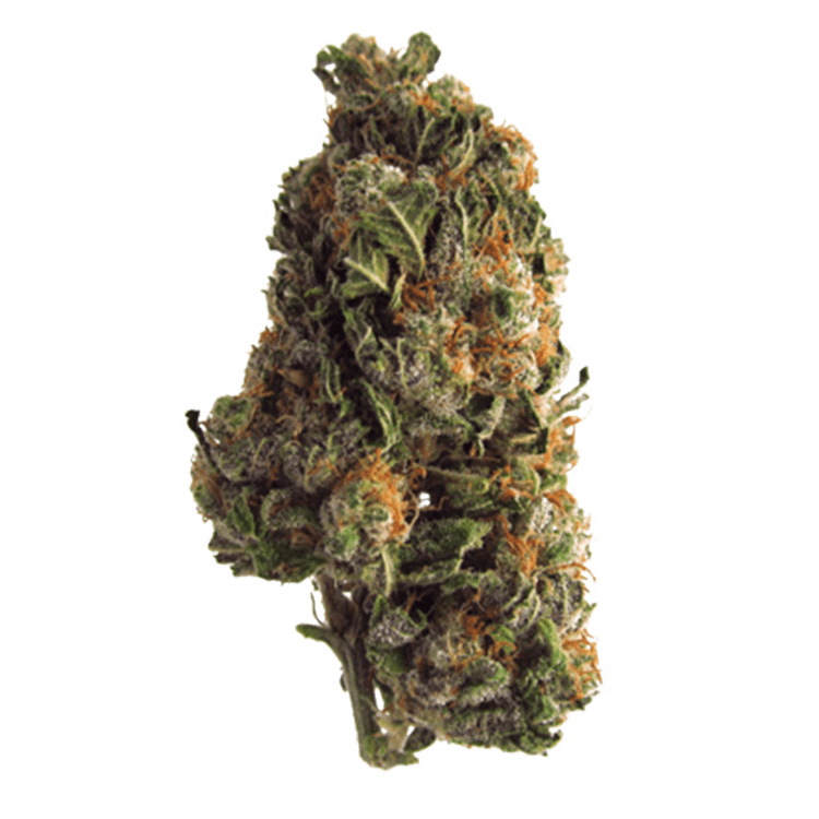 Blue Dream (Popcorn) | WeedSmart Canada