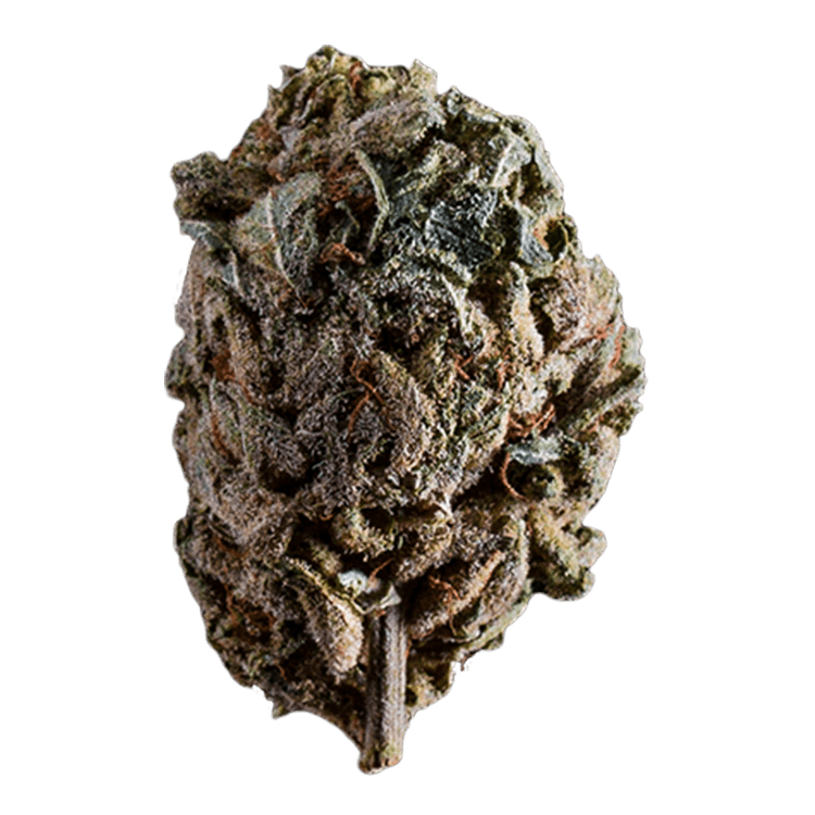 Purple Candy | WeedSmart Canada