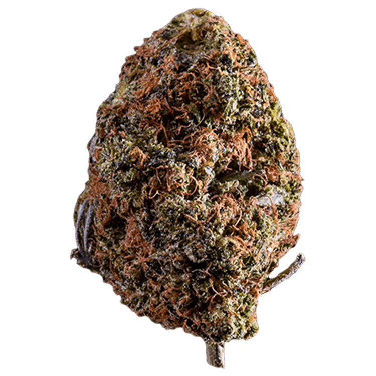 Rocklock – 1 ounce | WeedSmart Canada