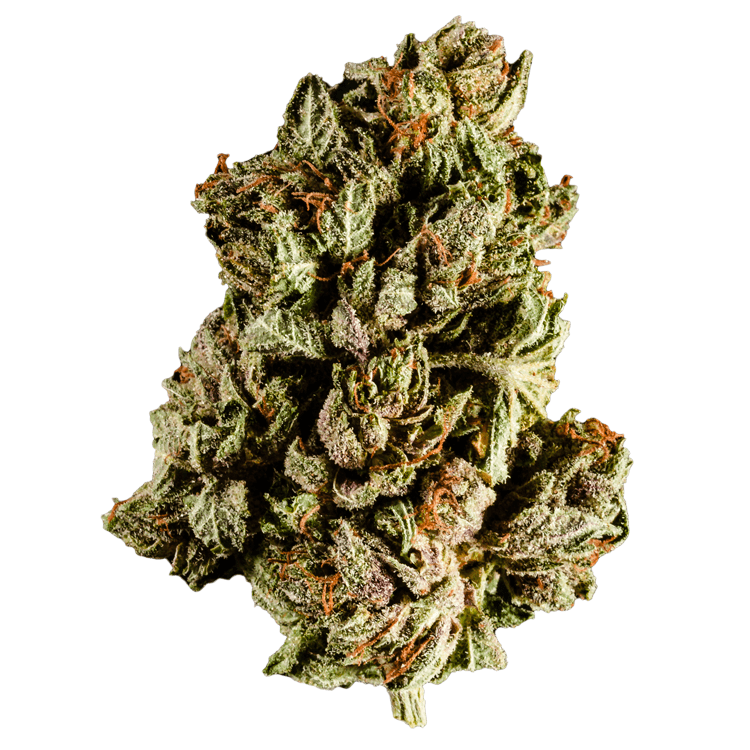 Purple Frost | WeedSmart Canada Purple Frost | WeedSmart Canada