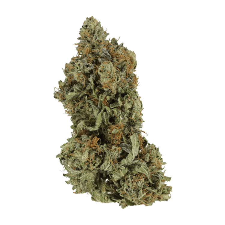 Bruce Banner #3 | WeedSmart Canada