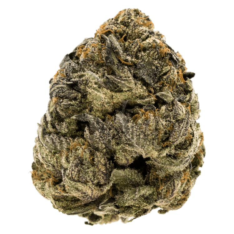 Girl Scout Cookies | WeedSmart Canada Girl Scout Cookies | WeedSmart Canada