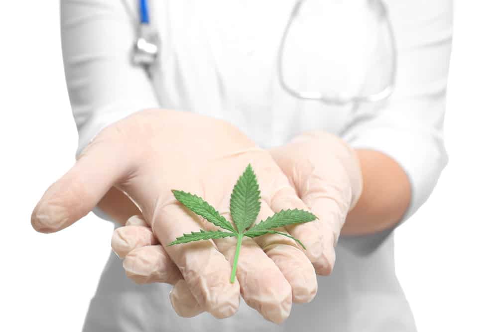 Cannabis as a natural cure for pain | WeedSmart Canada