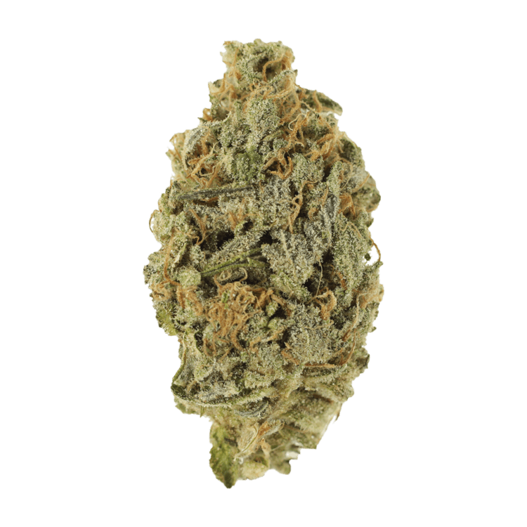 Lavender | WeedSmart Canada