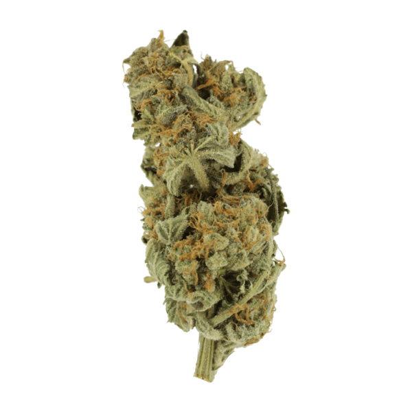 Gorilla Glue | WeedSmart Canada