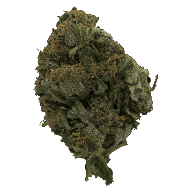 Chocolate Orange – 1 Ounce | WeedSmart Canada Chocolate Orange – 1 Ounce | WeedSmart Canada