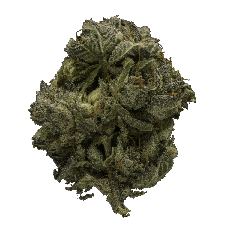 Grape God | WeedSmart Canada Grape God | WeedSmart Canada