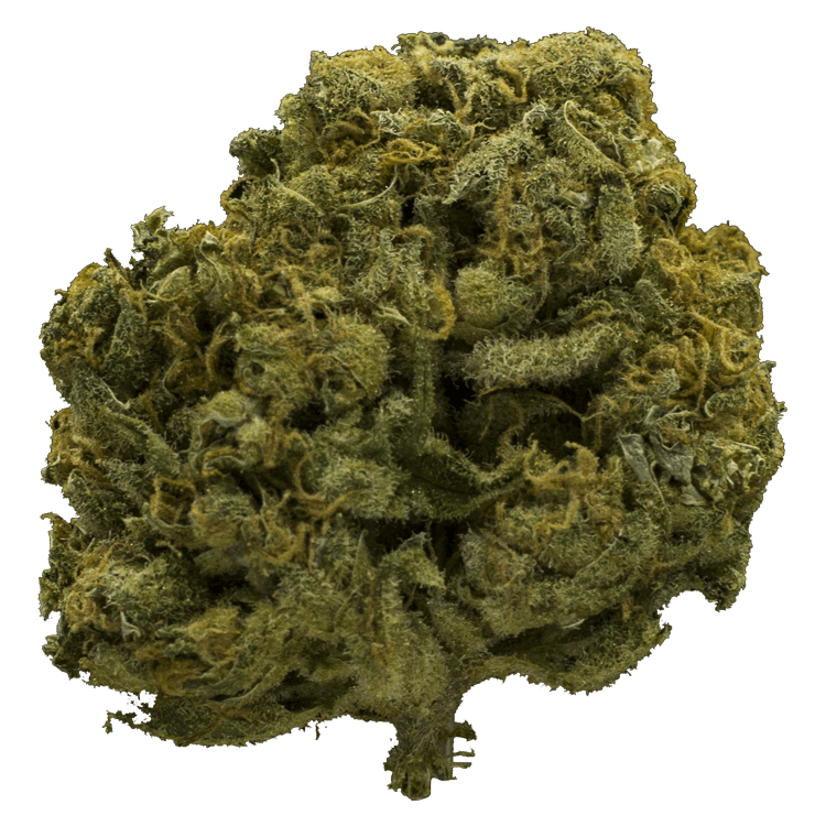 Charlotte’s Web – High CBD | WeedSmart Canada Charlotte’s Web – High CBD | WeedSmart Canada