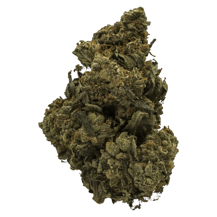 Jack Herer 1 Ounce | WeedSmart Canada Jack Herer 1 Ounce | WeedSmart Canada