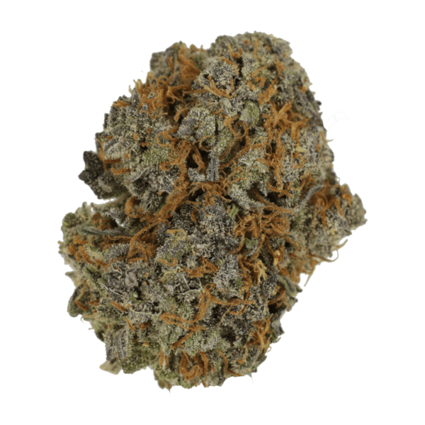 Jack Herer 1 Ounce | WeedSmart Canada