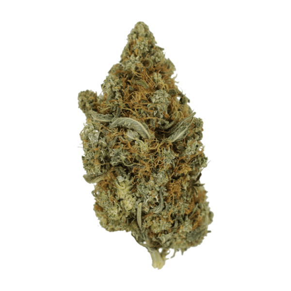 Jack Herer 1 Ounce | WeedSmart Canada