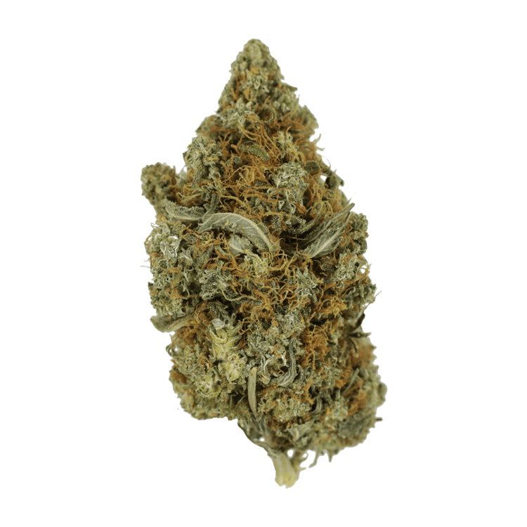 Jack Herer 1 Ounce | WeedSmart Canada