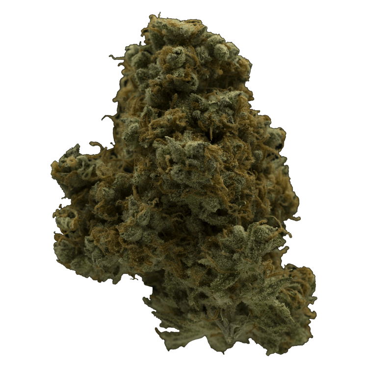 Funky Skunk – 1 Ounce | WeedSmart Canada