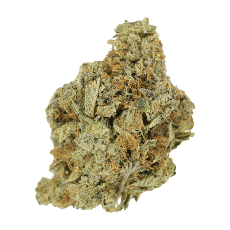 Jet Fuel | WeedSmart Canada Jet Fuel | WeedSmart Canada