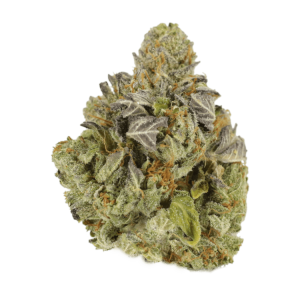 Jet Fuel | WeedSmart Canada