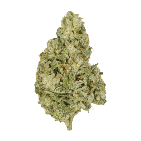 Zombie OG | WeedSmart Canada