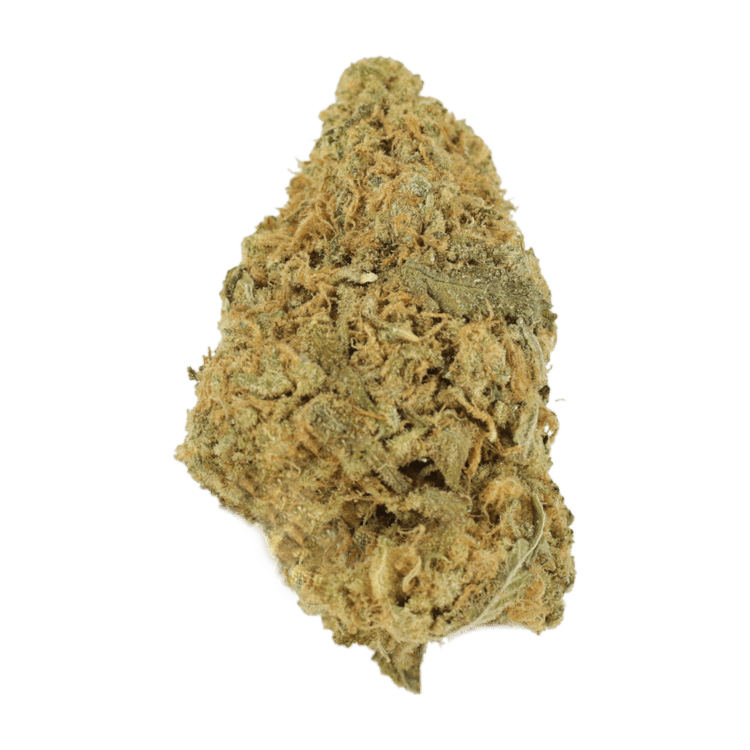 Zombie OG | WeedSmart Canada