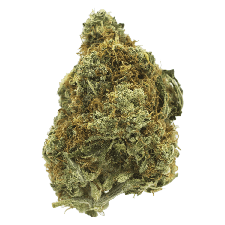 Cappuccino 420 | WeedSmart Canada Cappuccino 420 | WeedSmart Canada