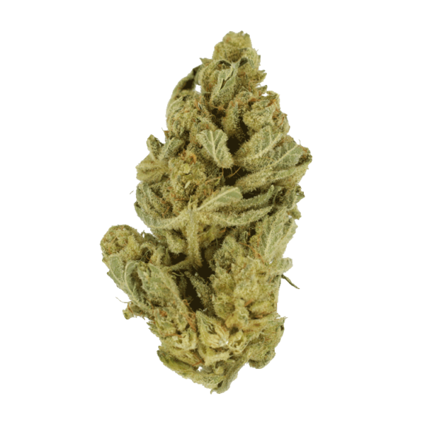 Hindu Kush – 7g | WeedSmart Canada