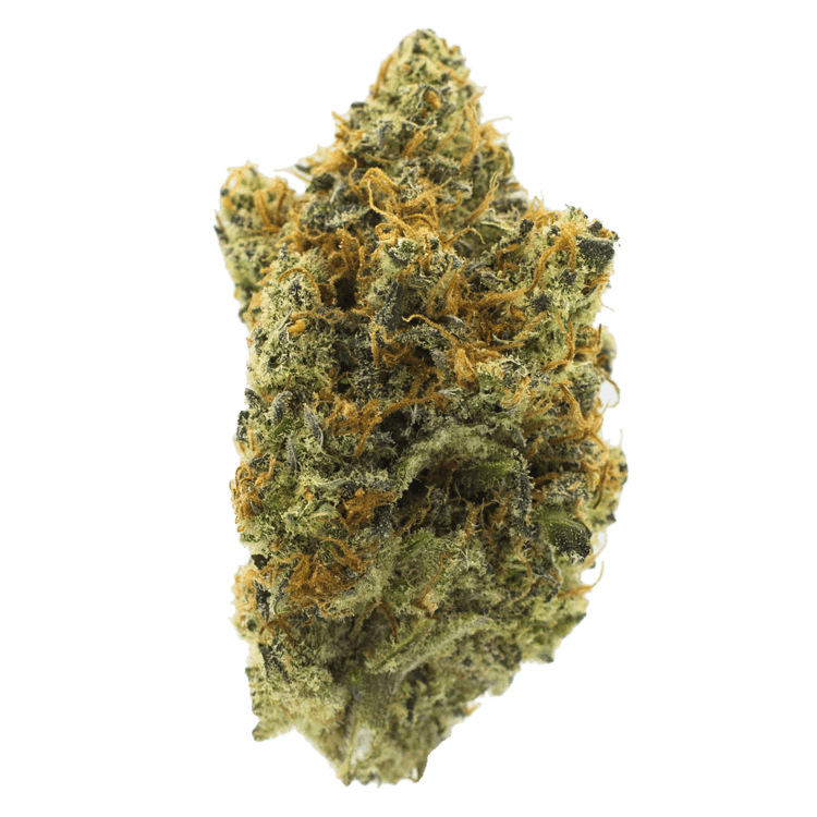 Peyote Cookies | WeedSmart Canada