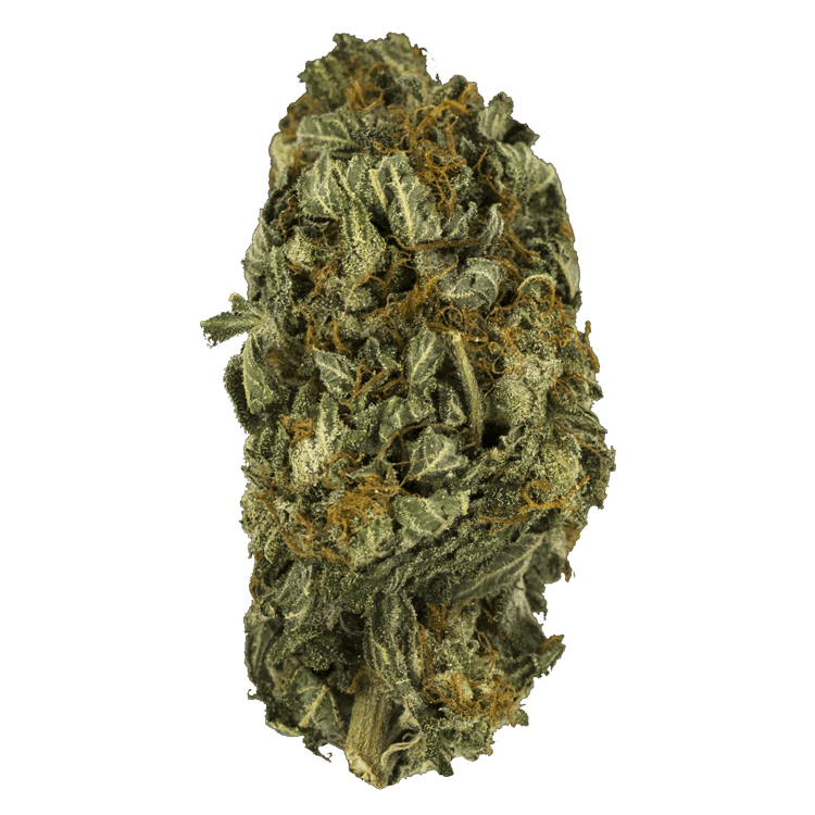 Nebula | WeedSmart Canada Nebula | WeedSmart Canada