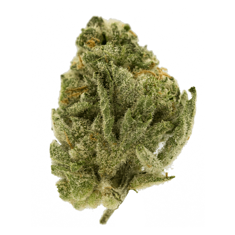 Orangeaid | WeedSmart Canada Orangeaid | WeedSmart Canada