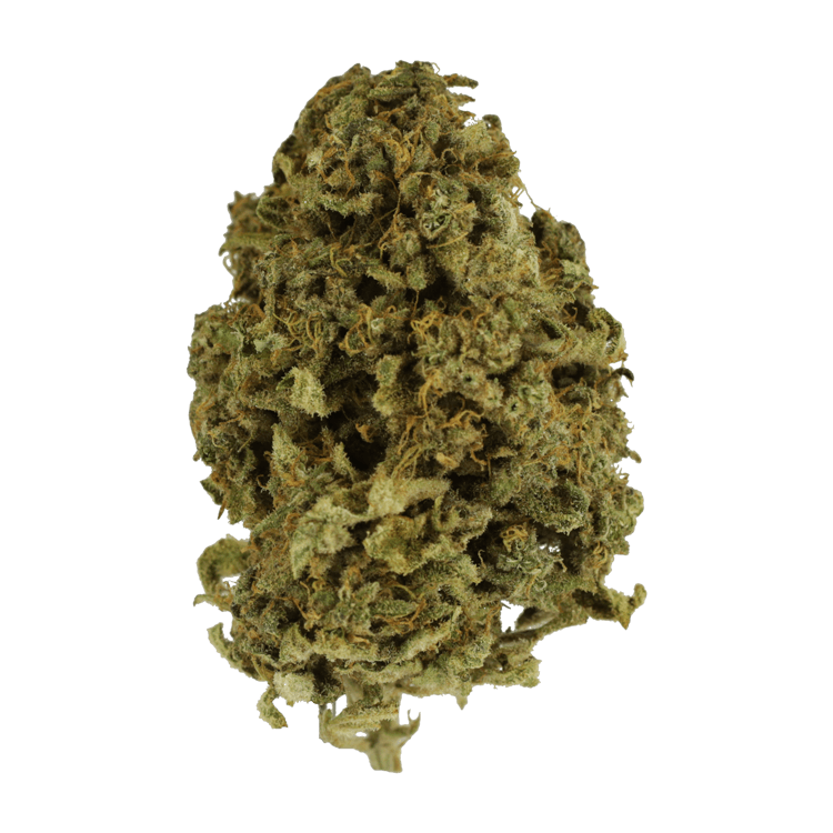 Nebula | WeedSmart Canada Nebula | WeedSmart Canada