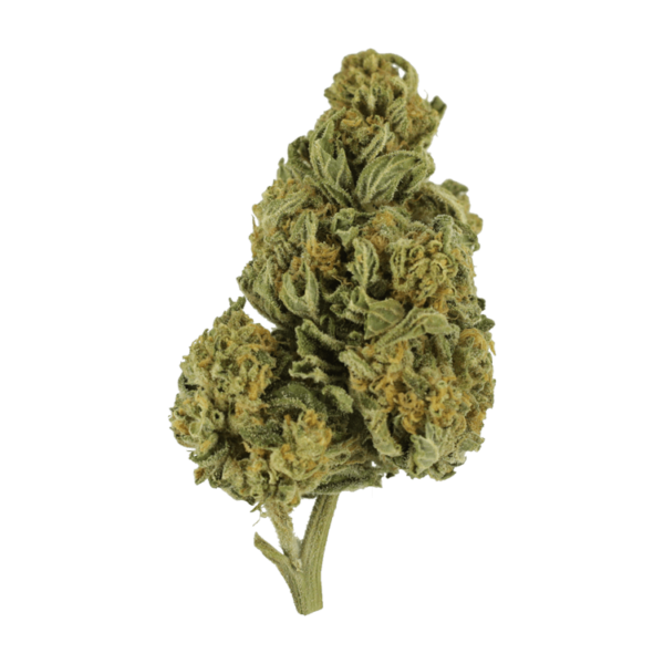 Blackwater | WeedSmart Canada Blackwater | WeedSmart Canada