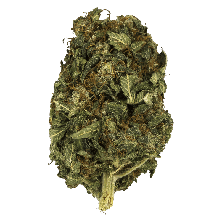 Midnight – 1 ounce (High CBD) | WeedSmart Canada Midnight – 1 ounce (High CBD) | WeedSmart Canada