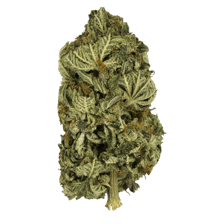 Black Gas – 1 ounce | WeedSmart Canada Black Gas – 1 ounce | WeedSmart Canada