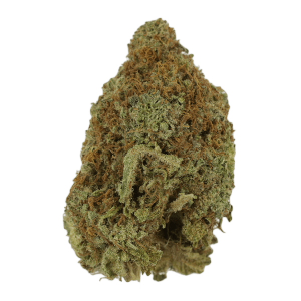 Mango Haze | WeedSmart Canada Mango Haze | WeedSmart Canada