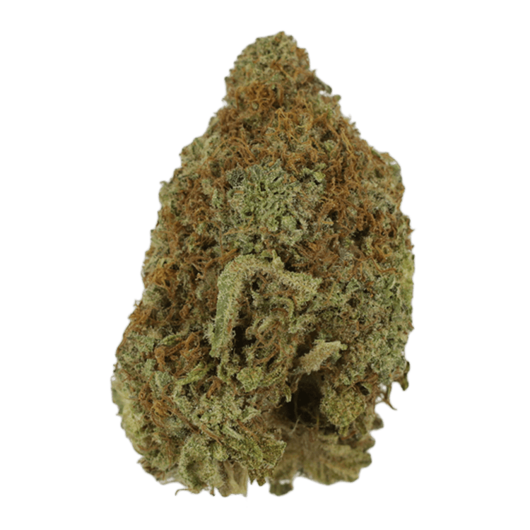 Mango Haze | WeedSmart Canada Mango Haze | WeedSmart Canada