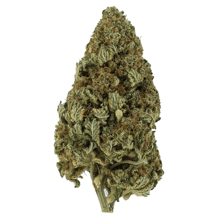 Hulkamania | WeedSmart Canada