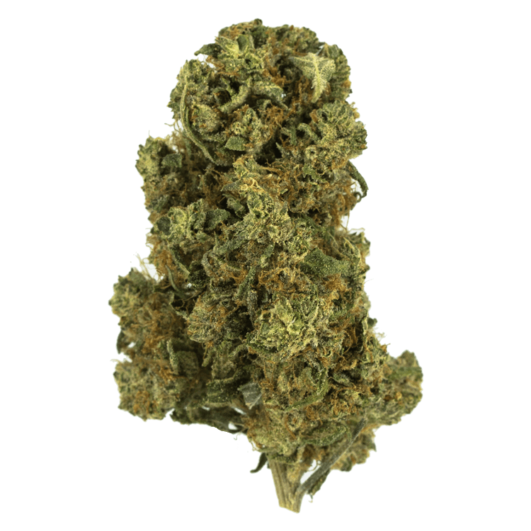 Blue Kiwi – 1 ounce | WeedSmart Canada