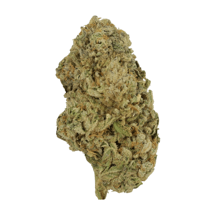 Alien Cookies | WeedSmart Canada Alien Cookies | WeedSmart Canada