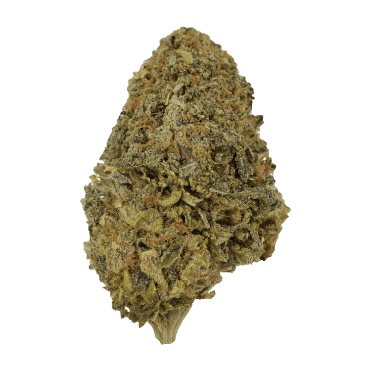 Black Nuken | WeedSmart Canada