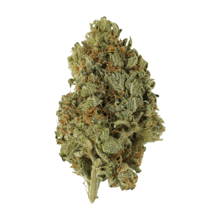 Sugar Cookies | WeedSmart Canada