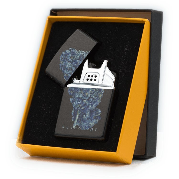 Kushology – Single Arc Plasma Lighter | WeedSmart Canada Kushology – Single Arc Plasma Lighter | WeedSmart Canada