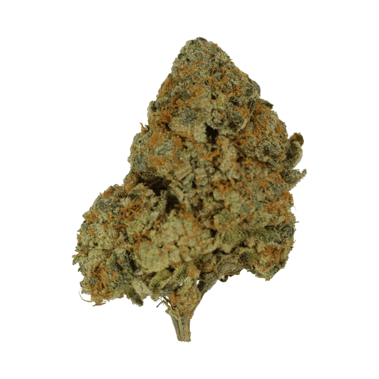 9lb Hammer | WeedSmart Canada 9lb Hammer | WeedSmart Canada