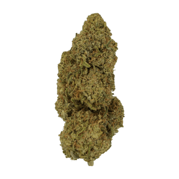 9lb Hammer | WeedSmart Canada