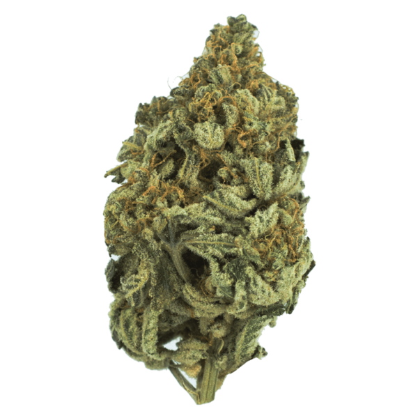 Bakerstreet | WeedSmart Canada Bakerstreet | WeedSmart Canada