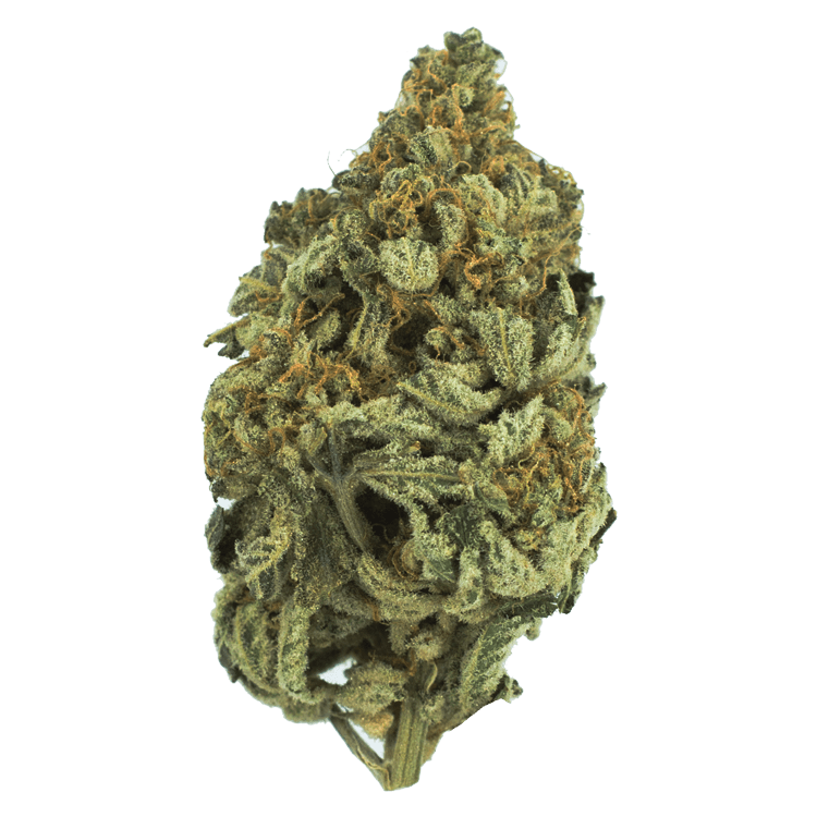 Bakerstreet | WeedSmart Canada Bakerstreet | WeedSmart Canada