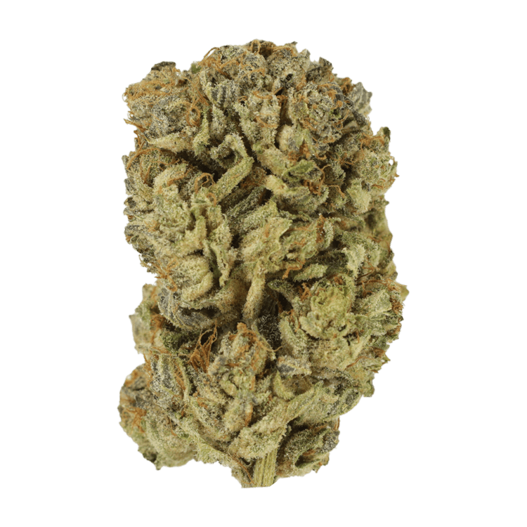 Maui Wowie | WeedSmart Canada Maui Wowie | WeedSmart Canada