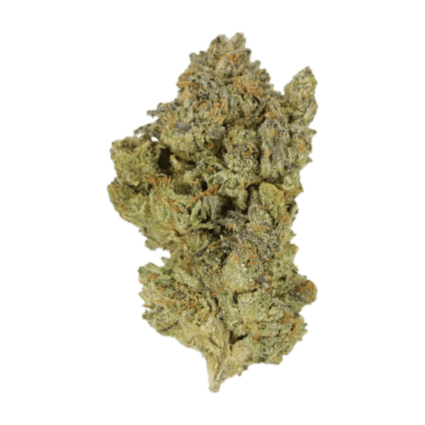 Golden Goat | WeedSmart Canada Golden Goat | WeedSmart Canada