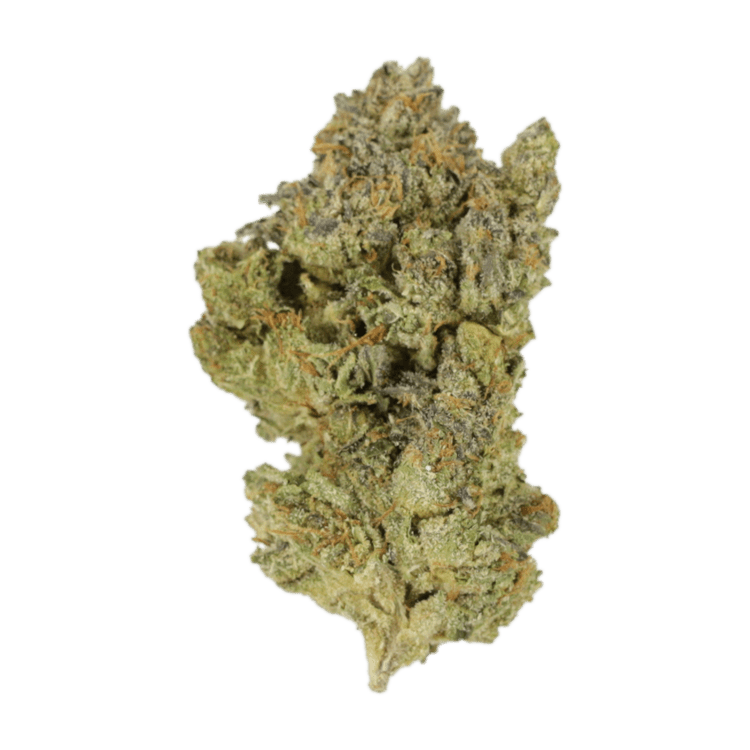 Golden Goat | WeedSmart Canada Golden Goat | WeedSmart Canada