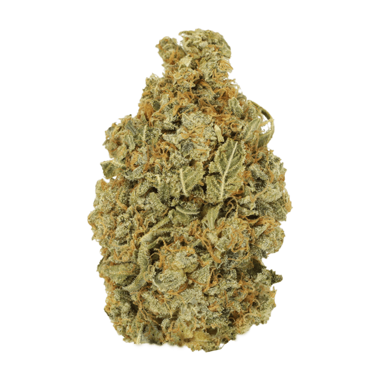 Maui Wowie | WeedSmart Canada